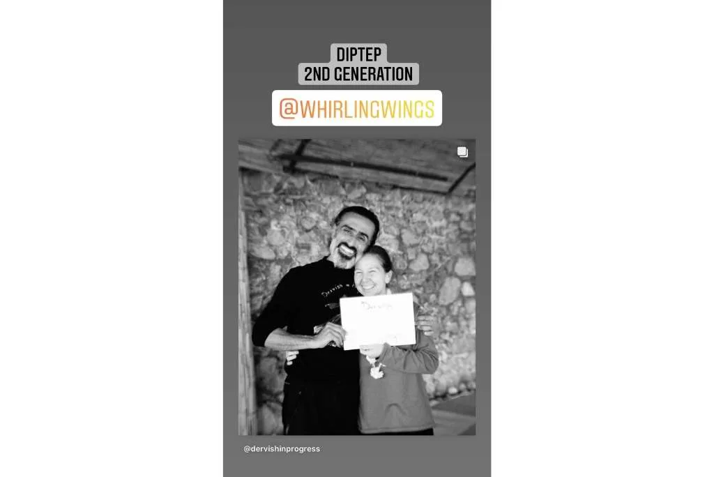 DIPTEP - Temel Bilgiler (1. Yıl)